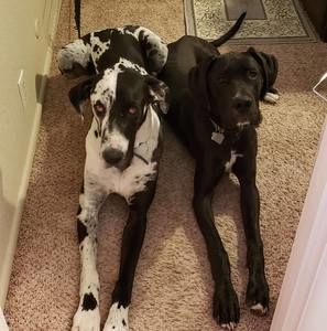 Meet your Posher, Tabitha